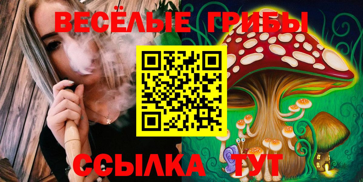 Псилоцибиновые грибы GOLDEN TEACHER Боровичи